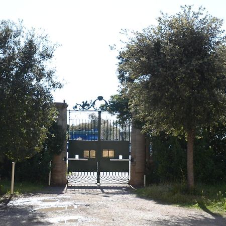 Villa Anselmi - Arteindiretta Livorno Exterior photo