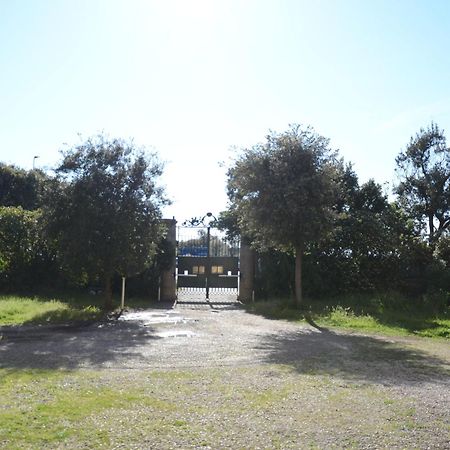 Villa Anselmi - Arteindiretta Livorno Exterior photo
